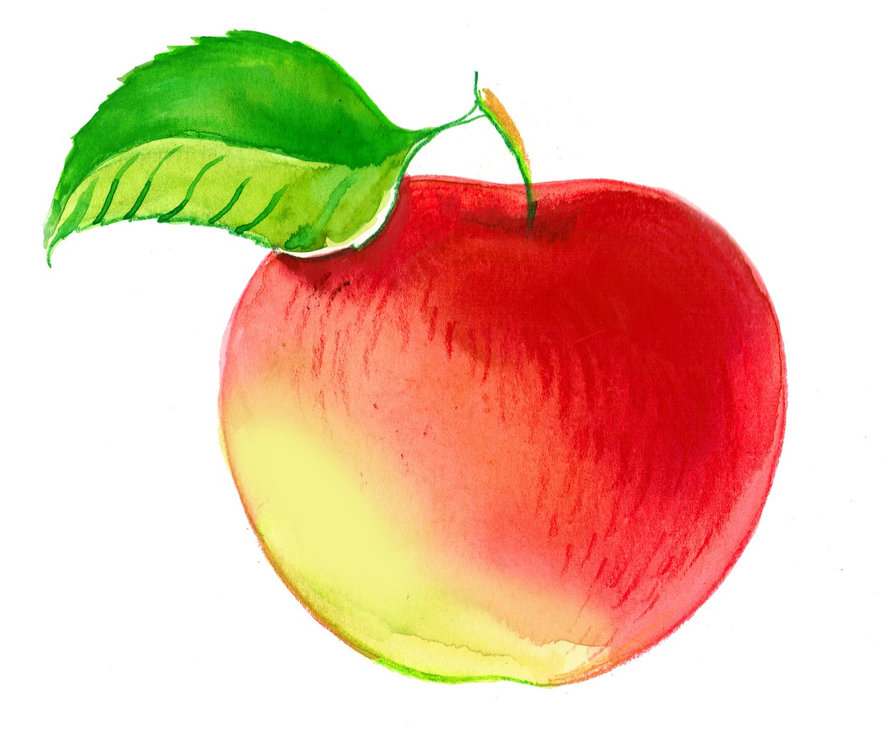 The Role of Seasonal Crops in Eco-Friendly Farming